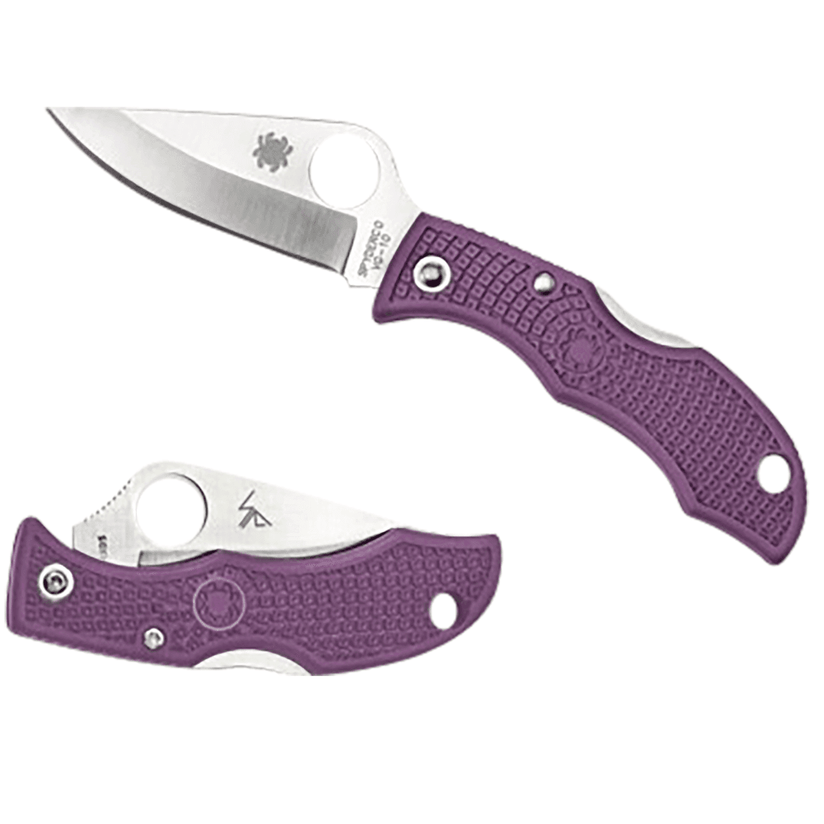Spyderco Ladybug 3 Salt Knife, Folding 1.94" H2 Steel Blade/Purple Bi-Directional Texturing FRN Handle - LPRP3 Spyderco Ladybug 3 Salt Knife, Folding 1.94" H2 Steel Blade/Purple Bi-Directional Texturing FRN Handle - LPRP3