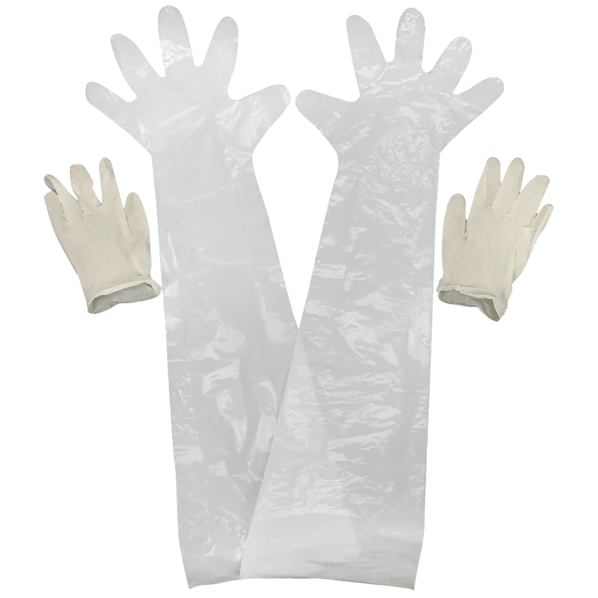 Allen Field Dressing Gloves, Clear Shoulder/Wrist Latex 2 Pack - 51 Allen Field Dressing Gloves, Clear Shoulder/Wrist Latex 2 Pack - 51