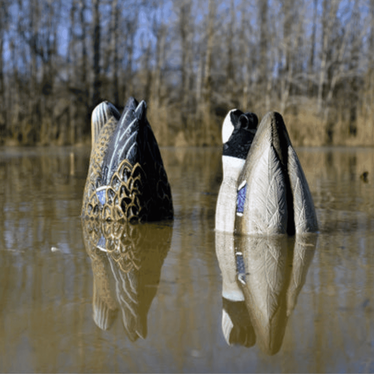 Specification Main Image