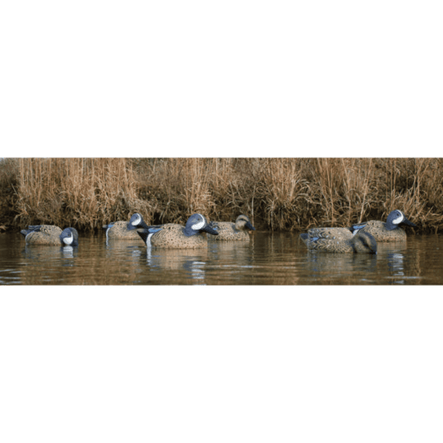 Higdon Outdoors Standard Blue Wing Teal, Multi Color Foam Filled 6 Pack - 19953 Higdon Outdoors Standard Blue Wing Teal, Multi Color Foam Filled 6 Pack - 19953