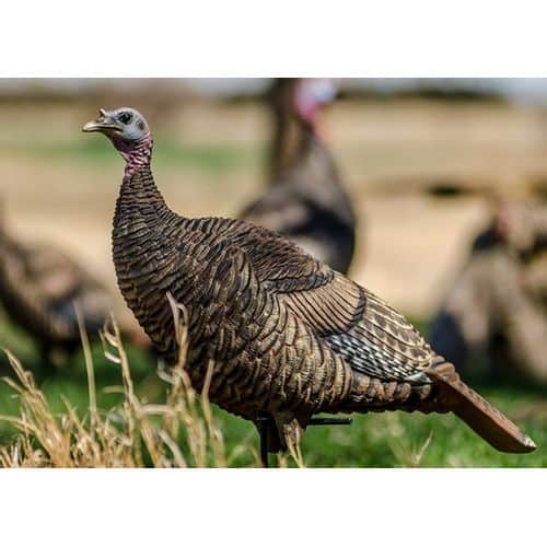 Deception Decoy's Miss Priss Turkey Decoy Deception Decoy's Miss Priss Turkey Decoy