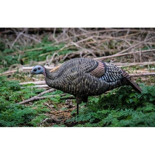 Deception Decoy's Feeder Hen Turkey Decoy Deception Decoy's Feeder Hen Turkey Decoy