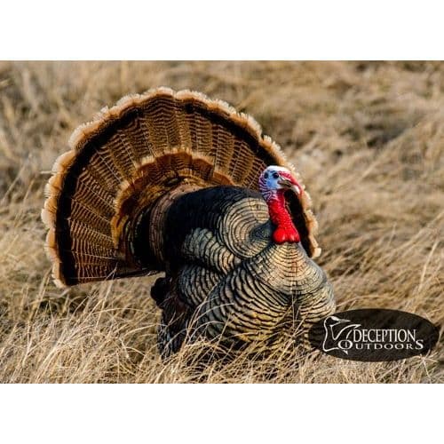 Deception Decoy's Strutting Tom Turkey Decoy Deception Decoy's Strutting Tom Turkey Decoy