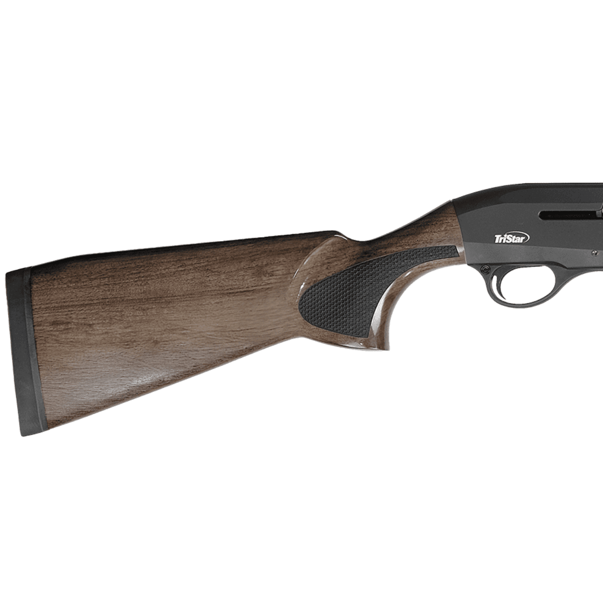 TriStar Raptor II Shotgun, 28" Black Vent Rib Steel Barrel Black Steel Receiver Fixed Walnut Synthetic Stock 3" Chamber Semi-Auto 5+1rd 12 Gauge - 20232 TriStar Raptor II Shotgun, 28" Black Vent Rib Steel Barrel Black Steel Receiver Fixed Walnut Synthetic Stock 3" Chamber Semi-Auto 5+1rd 12 Gauge - 20232