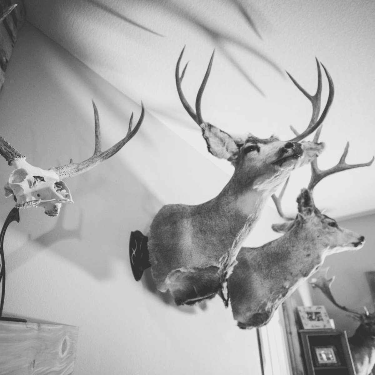 Specification Main Image