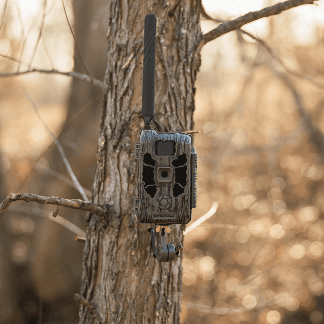 Stealth Cam Deceptor Max Cellular Trail Camera, 80' Detection Range 40MP Verizon / AT&T AA 2 Pack - STCDCPTRX22PK Stealth Cam Deceptor Max Cellular Trail Camera, 80' Detection Range 40MP Verizon / AT&T AA 2 Pack - STCDCPTRX22PK