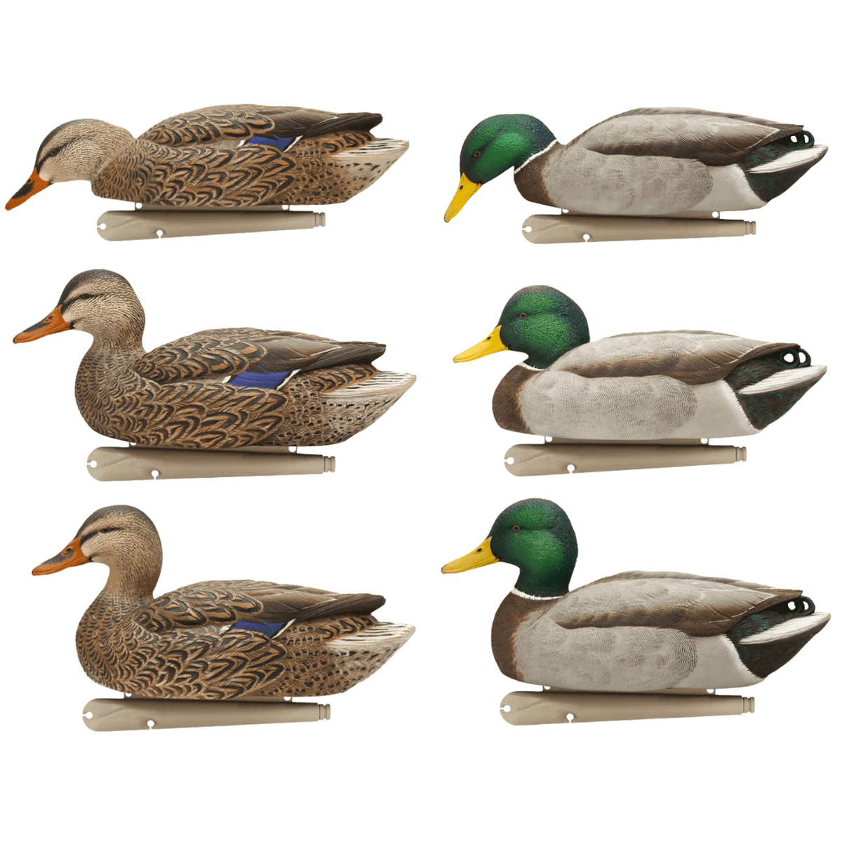 Avian X Topflight Fusion Mallards, Multi-Color Mallards 6 Pack - AVXAVX8076 Avian X Topflight Fusion Mallards, Multi-Color Mallards 6 Pack - AVXAVX8076