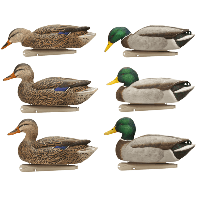 Avian X Topflight Fusion Mallards, Multi-Color Mallards 6 Pack - AVXAVX8076 Avian X Topflight Fusion Mallards, Multi-Color Mallards 6 Pack - AVXAVX8076