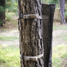 Moultrie Bag Feeder, Outdoor View Moultrie Bag Feeder, Outdoor View