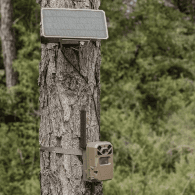 Moultrie 3.4W Solar Power Pack, Water Resistant Includes USB-C / Angeled Mount / Adjustable Strap Compatible w/ EDGE Series Cameras - MMA-14206 Moultrie 3.4W Solar Power Pack, Water Resistant Includes USB-C / Angeled Mount / Adjustable Strap Compatible w/ EDGE Series Cameras - MMA-14206