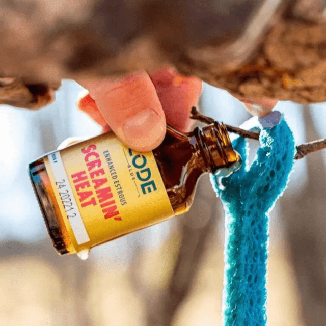 Code Blue Screamin' Heat Enhanced Estrous, 1 fl oz Liquid Doe Urine - OA1226 Code Blue Screamin' Heat Enhanced Estrous, 1 fl oz Liquid Doe Urine - OA1226