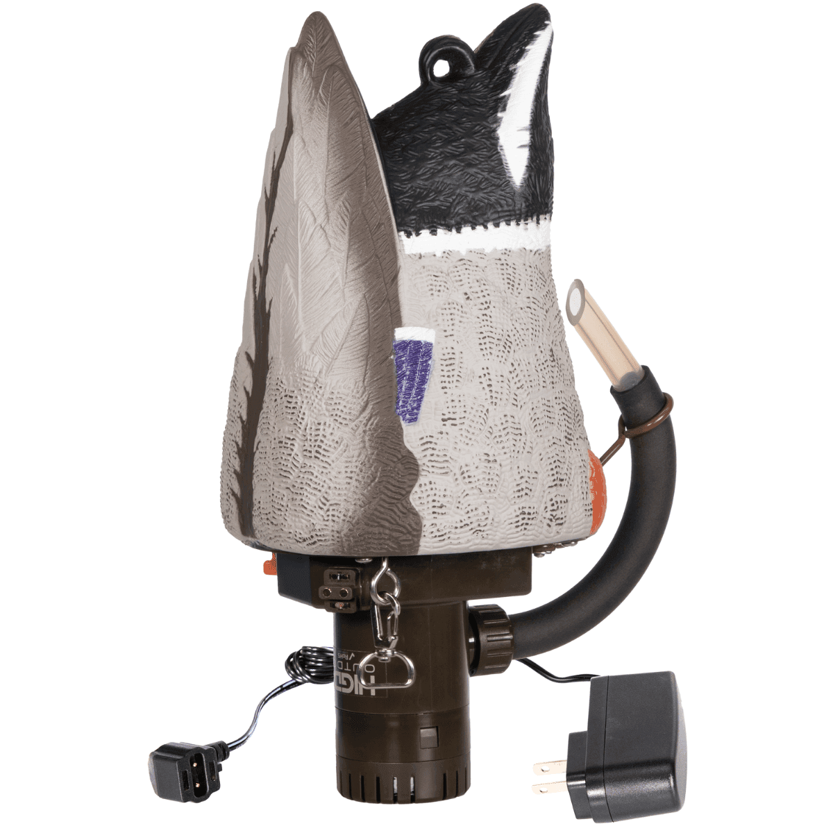 Specification Main Image