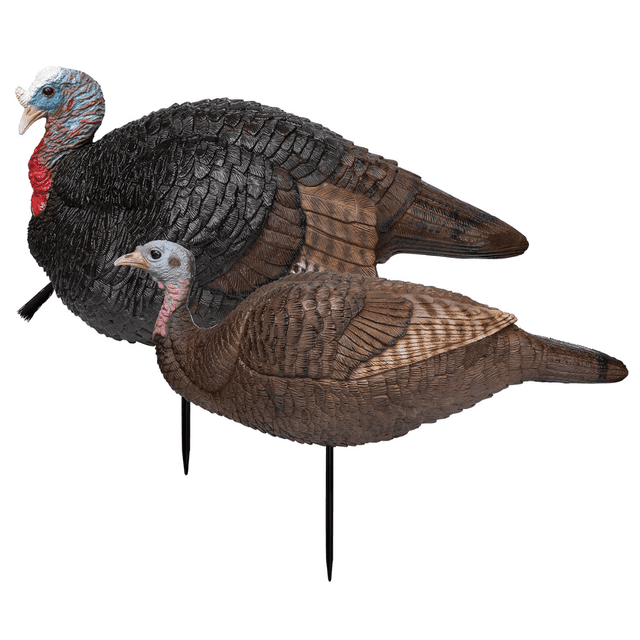 Primos Lil' Gobblestopper Jake & Hen Combo, Turkey Species Multi Color Ground Stake - 69075 Primos Lil' Gobblestopper Jake & Hen Combo, Turkey Species Multi Color Ground Stake - 69075