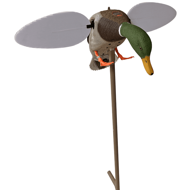 Mojo Outdoors Silver Mallard 25th Anniversary Multi-Color HW2025 Mojo Outdoors Silver Mallard 25th Anniversary Multi-Color HW2025