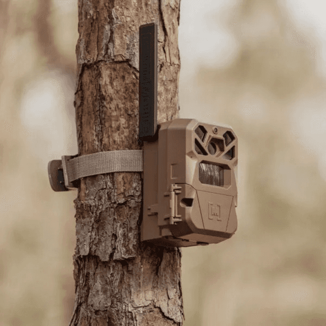 Moultrie EDGE 2 Cellular Trail Camera 2-Pack, Pine Bark 36MP Image Resolution 1080p videos w/ Sound 100' Range Low-Glow Flash for Long-Range Night Vision - MMC-14124 Moultrie EDGE 2 Cellular Trail Camera 2-Pack, Pine Bark 36MP Image Resolution 1080p videos w/ Sound 100' Range Low-Glow Flash for Long-Range Night Vision - MMC-14124