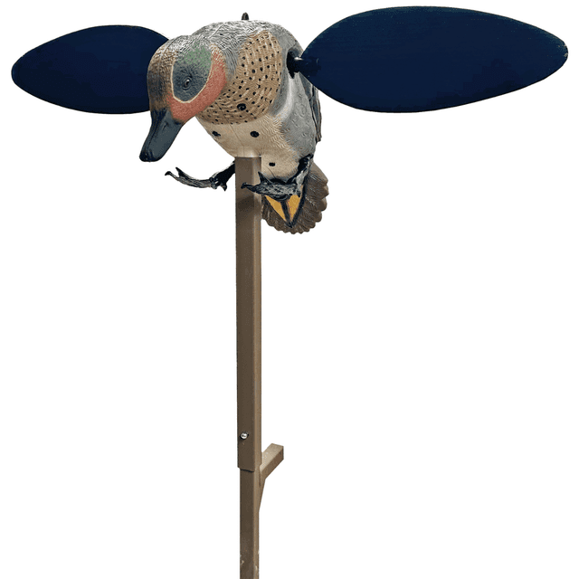 Mojo Outdoors Green Wing Teal Duck Decoy, 4 AA Batteries - HW2555 Mojo Outdoors Green Wing Teal Duck Decoy, 4 AA Batteries - HW2555